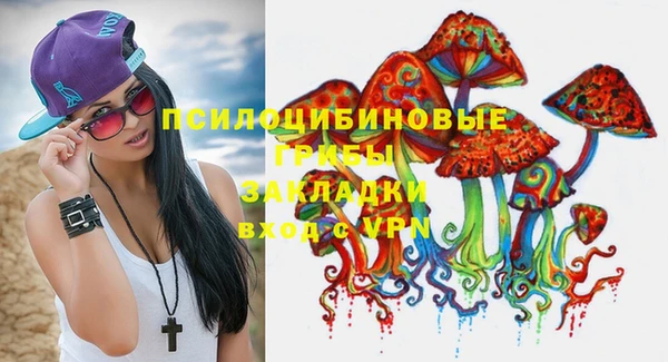 ГАЛЛЮЦИНОГЕННЫЕ ГРИБЫ Алексин