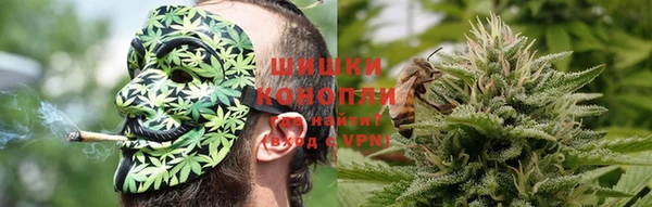 ГАЛЛЮЦИНОГЕННЫЕ ГРИБЫ Алексин